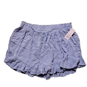 NWT Wild Fable Blue Shorts Size Large